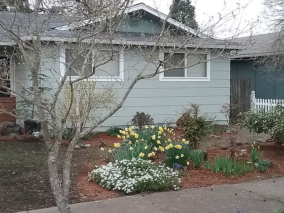 Front yard landscape