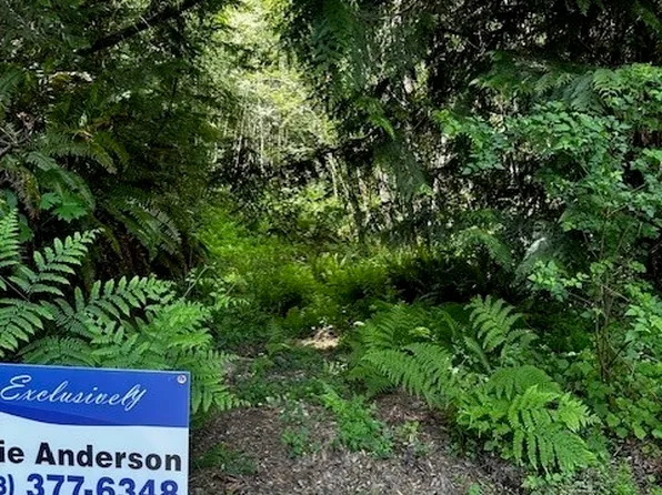 0 69th Street NW, Vaughn, WA 98394