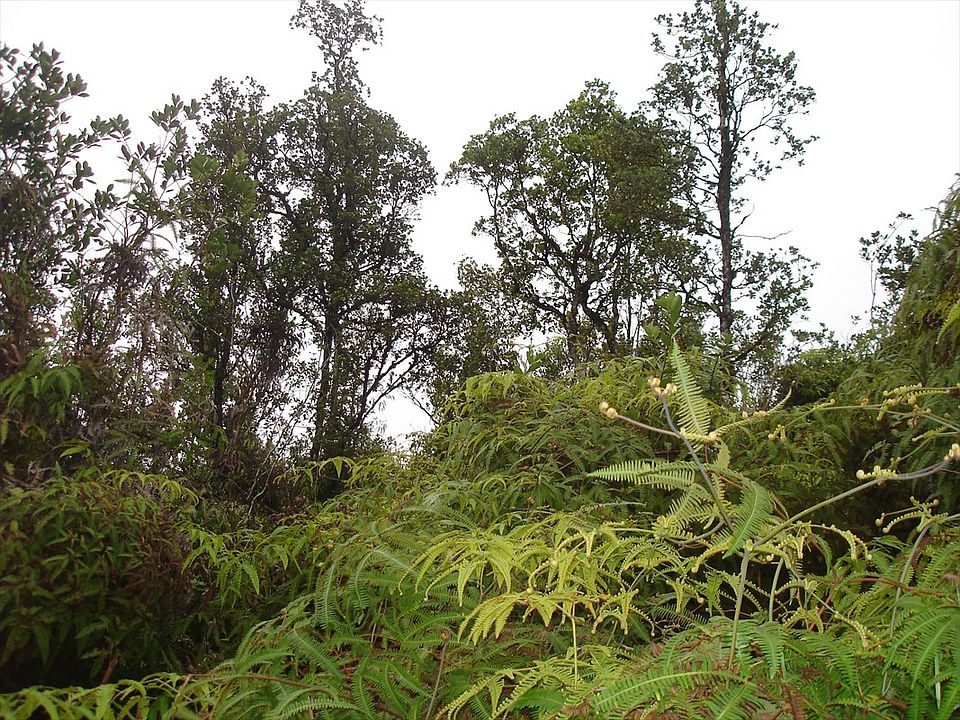 1st image of Road 3 Hopue Lot 3053