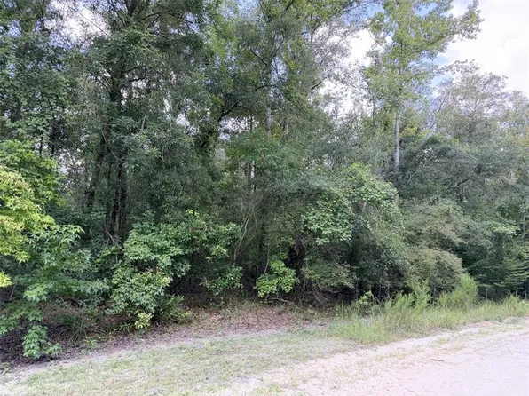 0 NE 756 STREET LOT 90, OLD TOWN, FL 32680