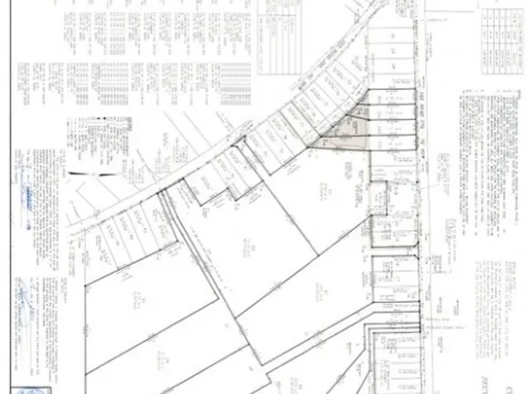 0 Lee Road 266, Cusseta, AL 36852