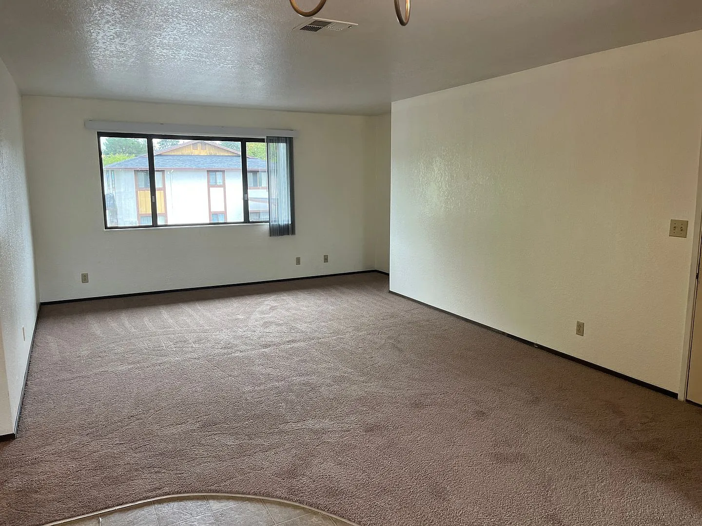 2241 Arbutus PRM: Henry (4) — Photo 3