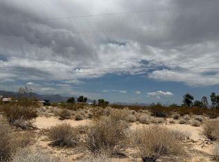 Plains Blackbird, Inyokern, CA 93527