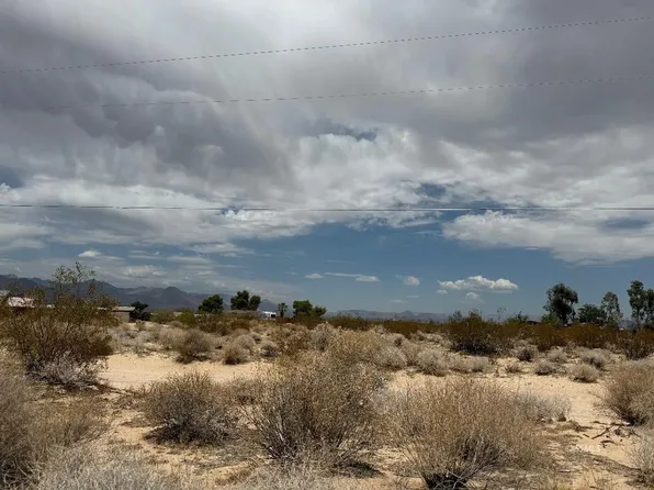 Plains Blackbird, Inyokern, CA 93527