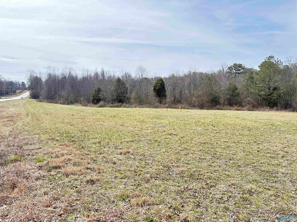 3.67 Ac Hwy #75, Ider, AL 35981