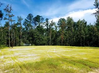 3 Johnson Ln, Wewahitchka, FL 32465