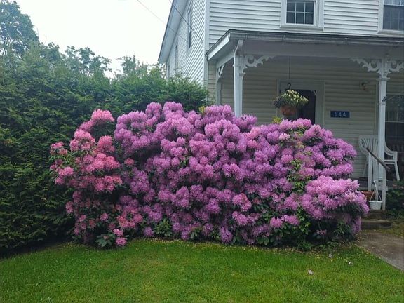 2nd image of 644 Tarbell Hill Rd