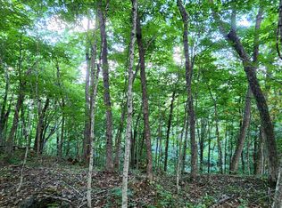 525 Bear View Trl, Hillsboro, WV 24946