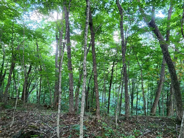 525 Bear View Trl, Hillsboro, WV 24946