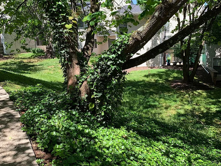 Mountain View — Photo 18
