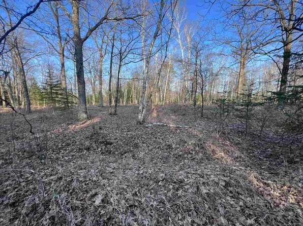 Nejedlo Rd #4, Wausaukee, WI 54177