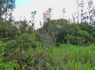 Road 5 LOT 3933, Mountain View, HI 96771