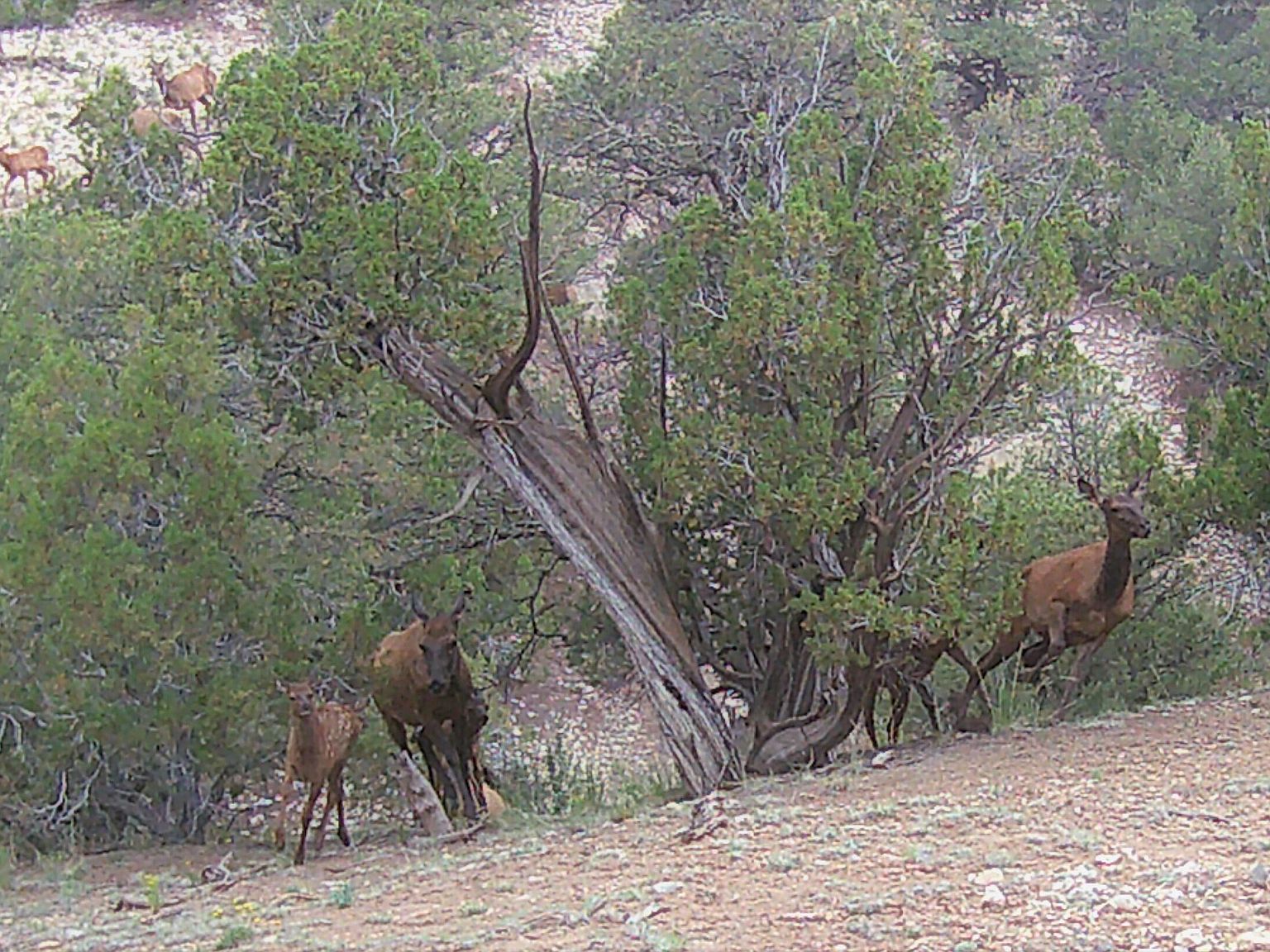 Lots 1 2 Colorado Land & Graz Lot Unit Bb, Gardner, CO 81040 Zillow