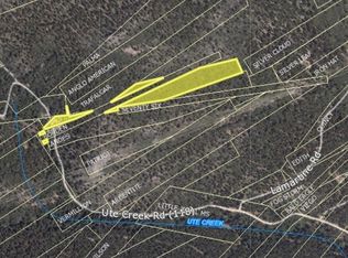 Ute Creek Rd, Idaho Springs, CO 80452
