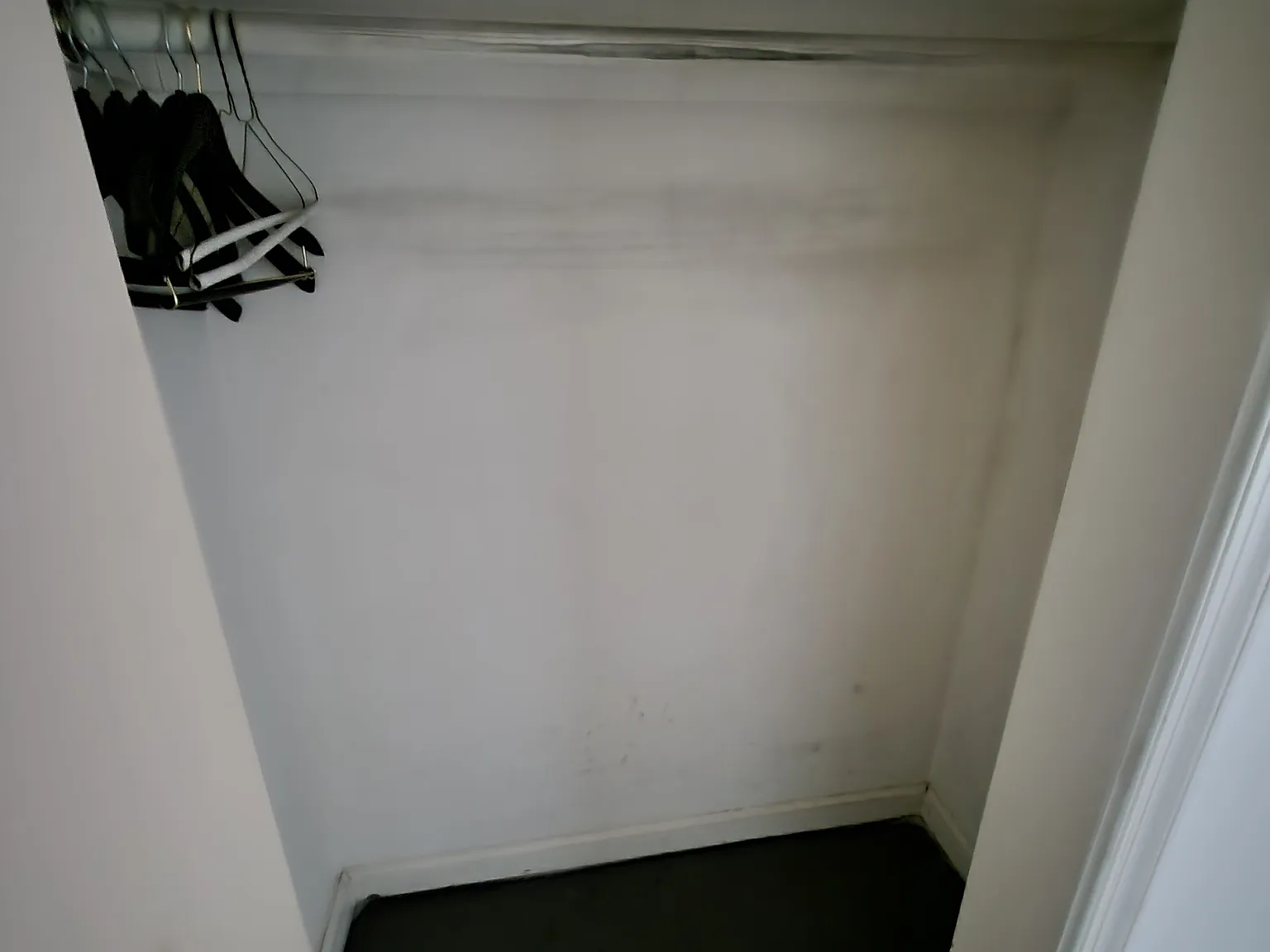 1 bed, 250 sqft, $750 — Photo 1