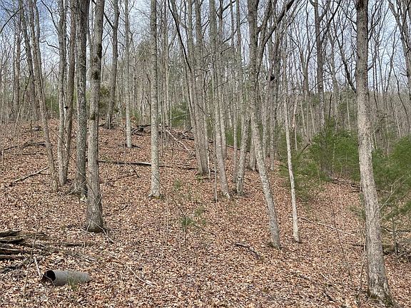 3rd image of LOT 11 Pinnacle Ct