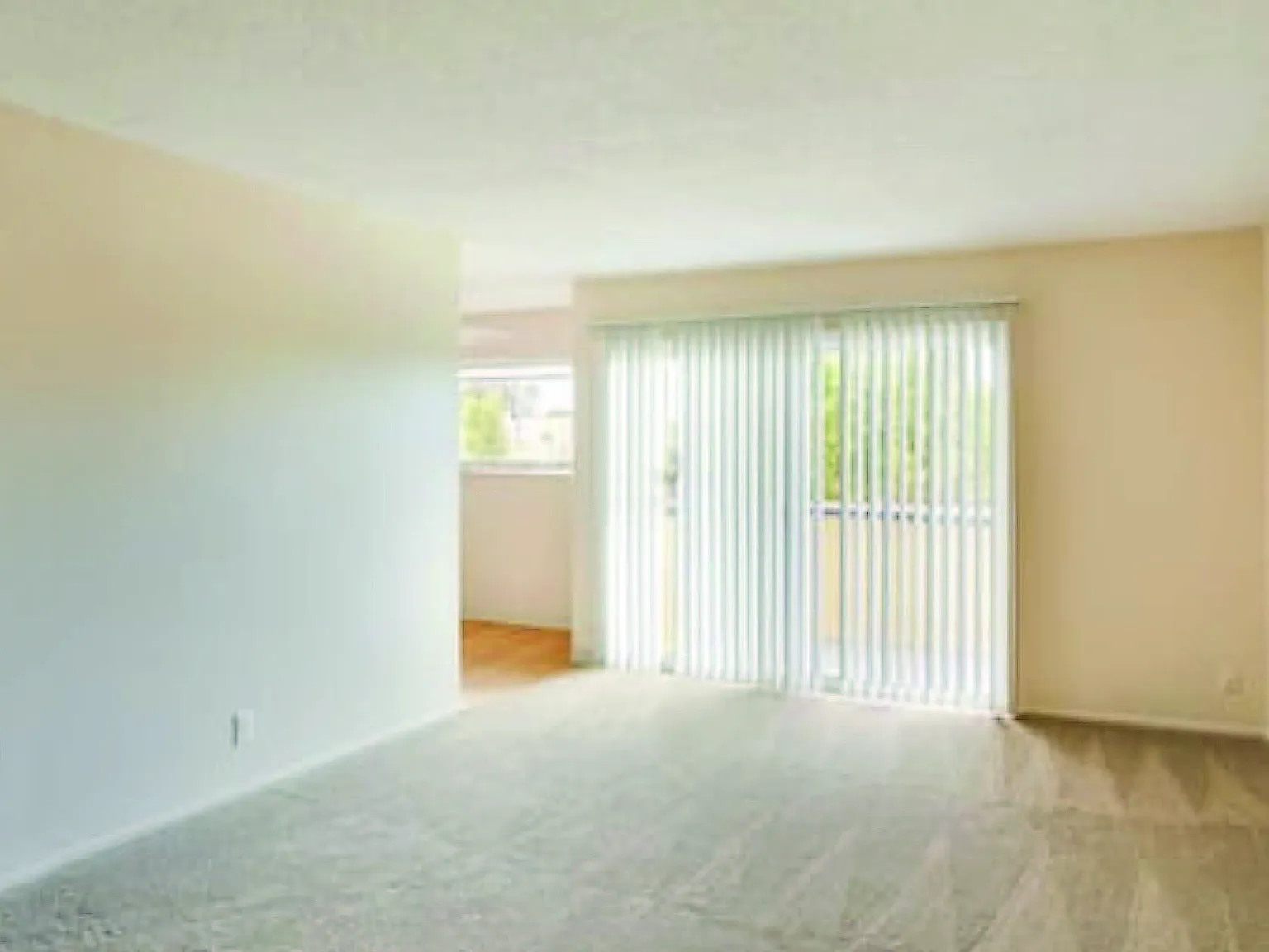 Solaris Apartments — Photo 3