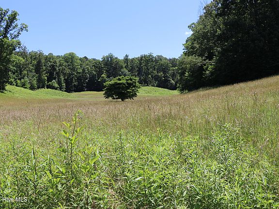 3rd image of 55,56,96 Daylily Drive