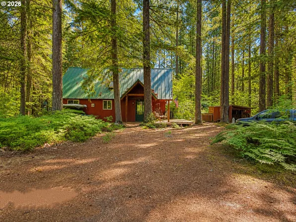 Cabin 36 Northwoods, Cougar, WA 98616
