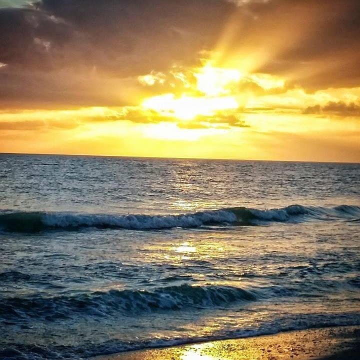 Kings Crown Apartments Sanibel, FL Zillow