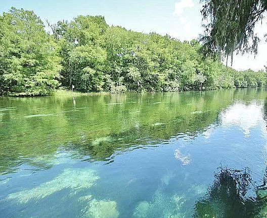 Rainbow River Access View