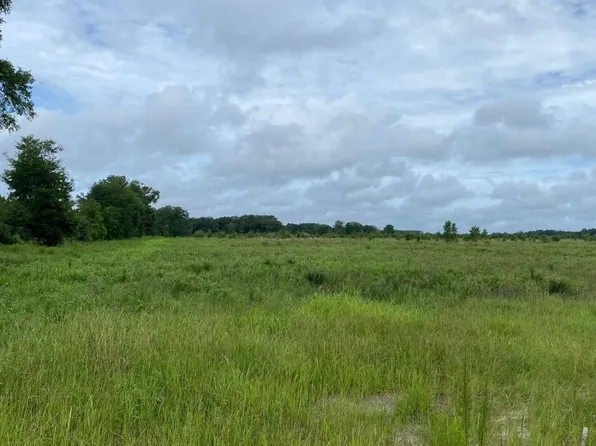 SW County Road 300 Ac #10, Mayo, FL 32066
