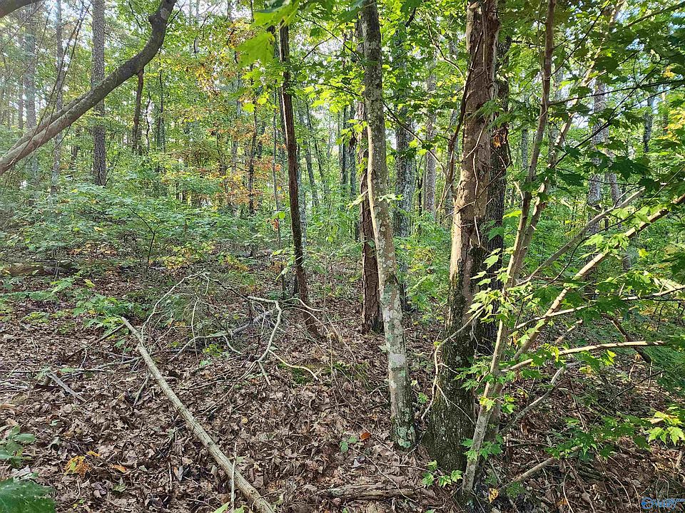 2nd image of County Road 14