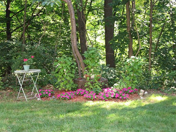 wooded view
