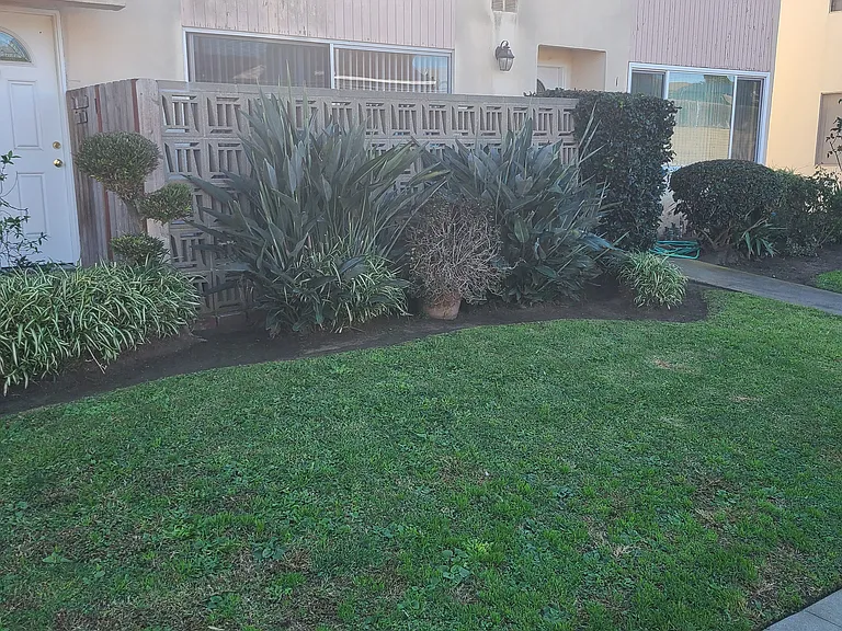 FRONT OF THE APARTMENT BUILDING