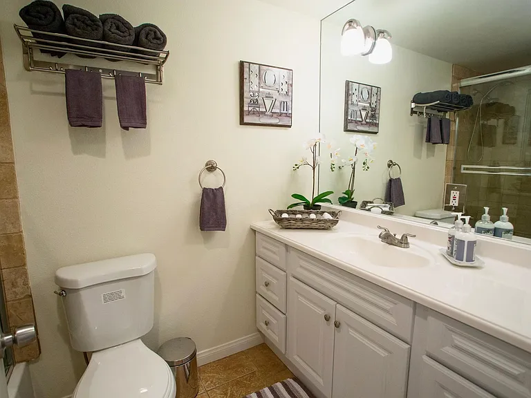 Guest bathroom with a tub