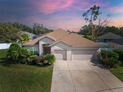 3101 White Pheasant Pl, Valrico, FL, 33596