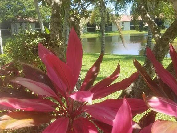 2nd image of 10828 Lake Palm Ln APT 102