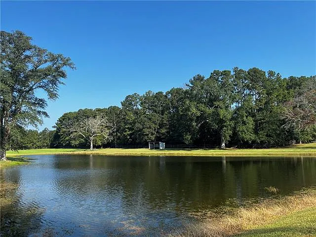 475 Deerfield Rd — Photo 8