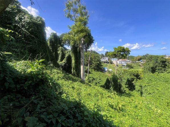 Barrio Mamey, Guaynabo, PR 00969