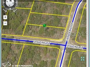 10423 Spalding St, Weeki Wachee, FL 34614