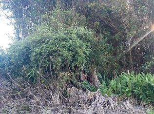 Leonaka Rd LOT 144, Mountain View, HI 96771