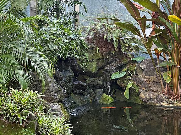 4th image of 1030 Aoloa Pl APT 211B