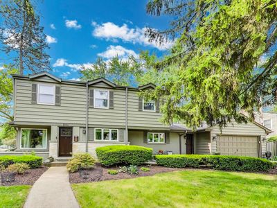 1311 E Woodford Pl, Arlington Heights, IL, 60004