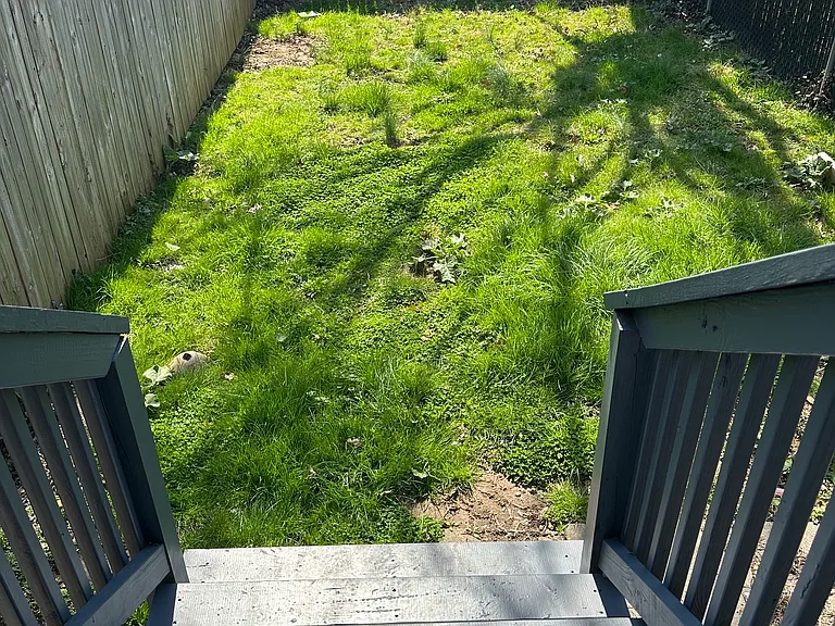 1528 W 4th St — Photo 3