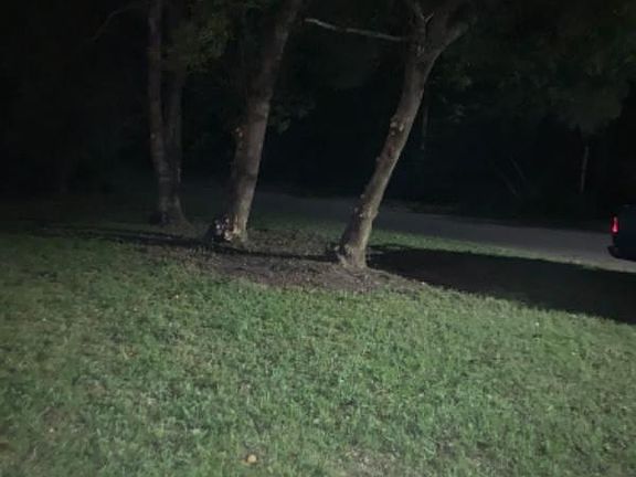 3rd image of 359 E Ohio Ave