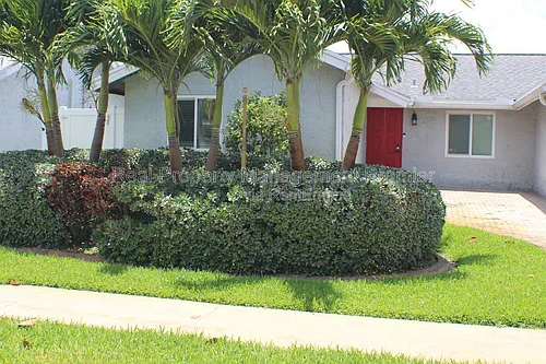 1317 SW 82nd Ave Photo 1