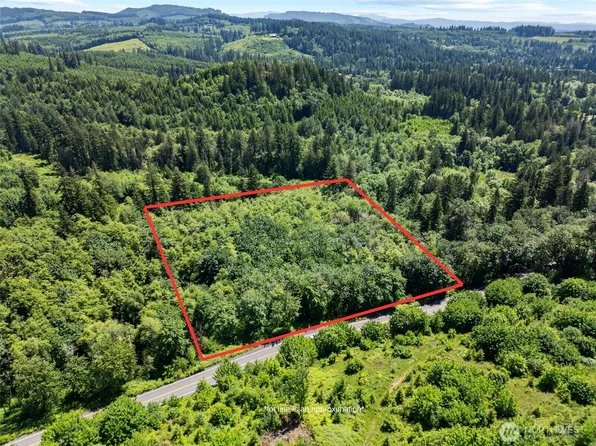 0 Lewisville Highway, Yacolt, WA 98675