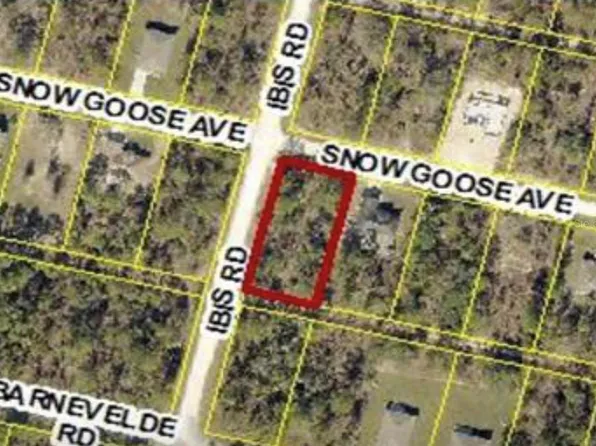 15282 Ibis Rd Lot 1, Brooksville, FL 34614