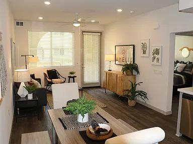 Amelia Apartments
