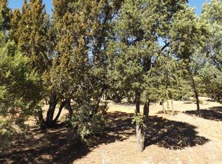 2286 Spitfire Dr, Overgaard, AZ 85933