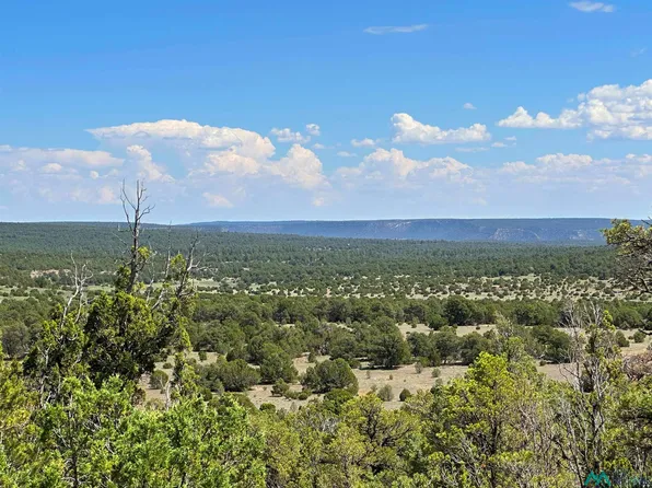 7 Tierra De Vis, Rowe, NM 87562