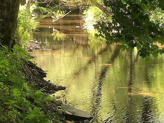Orwell Brook