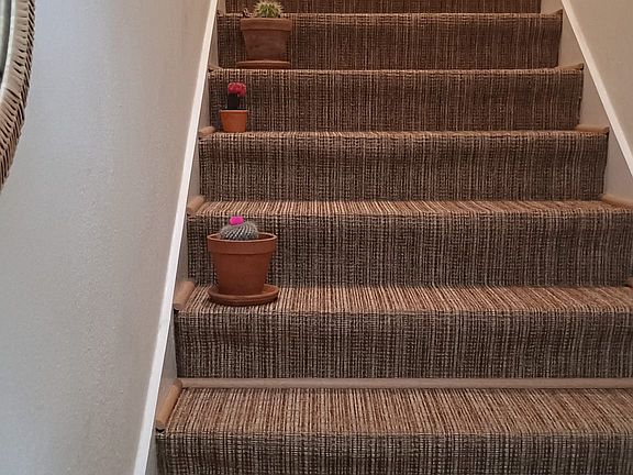 4th image of 10000 SW 52nd Ave APT 77