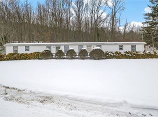 10 Sebring Rd, Newfield, NY 14867