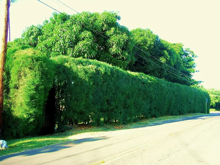 270 Auhana Rd — Photo 3